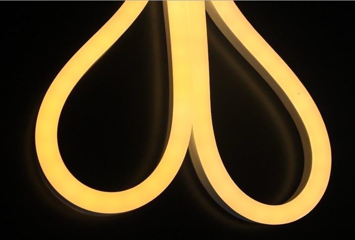 LED  neon lights